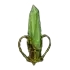 Elemental Rune