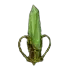Elemental Rune